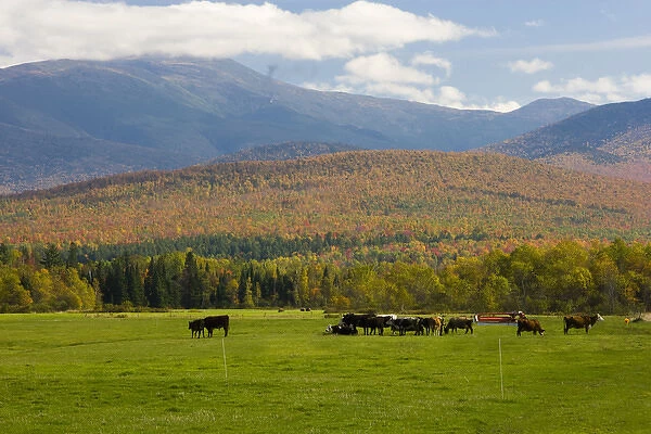 A dairy farm in Jefferson, New Hampshire. The Presidential Range is in the distance
