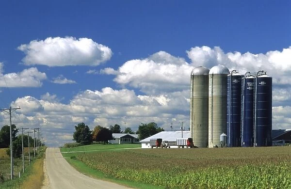 Dairy farm in Northeast Wisconsin
