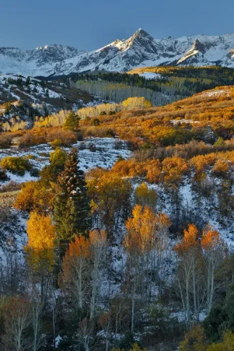 Framed Print : Dallas Mountain and San Juan Mountain Range, Colorado, Autumn colors and aspens glowing