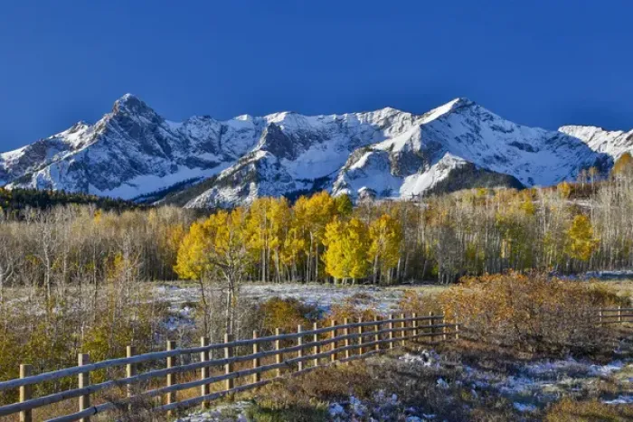 Framed Print : Dallas Mountain and San Juan Mountain Range, Colorado, Autumn colors and aspens glowing Framed Print : Dallas Mountain and San Juan Mountain Range, Colorado, Autumn colors and aspens glowing