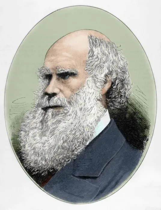 Framed Print : DARWIN, Charles Robert (1809-1882) British naturalist. Colored engraving Framed Print : DARWIN, Charles Robert (1809-1882) British naturalist. Colored engraving