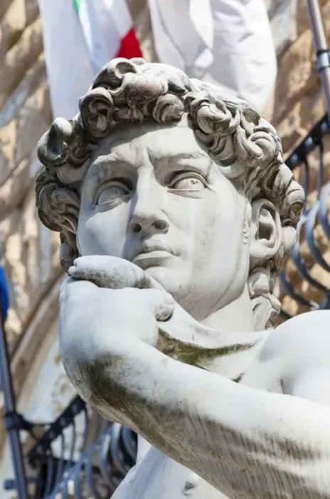 Framed Print : The David, by Michelangelo, Palazzo Vecchio, Piazza Signoria, Firenze, Unesco world heritage site Framed Print : The David, by Michelangelo, Palazzo Vecchio, Piazza Signoria, Firenze, Unesco world heritage site