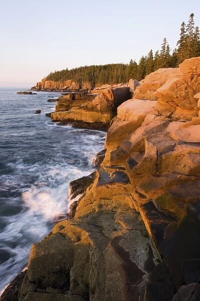 Dawn light on the pink granite ledges of the rocky coast in Maines Acadia National Park