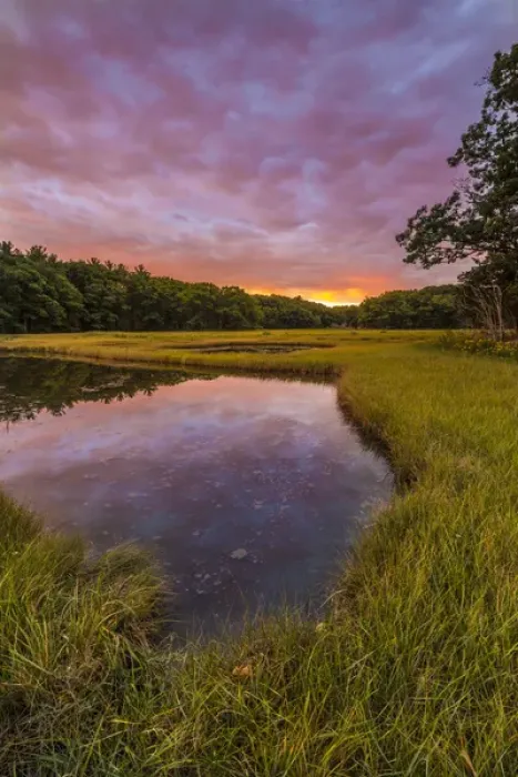 Framed Print : Dawn on the salt marsh along the Castle Neck River in Ipswich, Massachusetts Framed Print : Dawn on the salt marsh along the Castle Neck River in Ipswich, Massachusetts