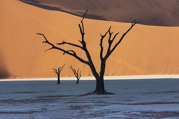 Dead silhouetted trees in Deadvlei, Sossusvlei, Namibia