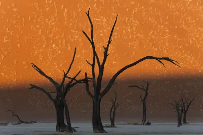 Framed Print : Dead trees in dry clay pan, Dead Vlei, Soussusvlei, Namibia, Africa