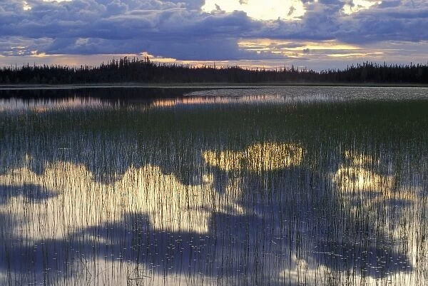 Deadman Lake, Tetlin NWR, AK. Clouds reflect in the lake - part of the 400000+ acres of Tetlin N
