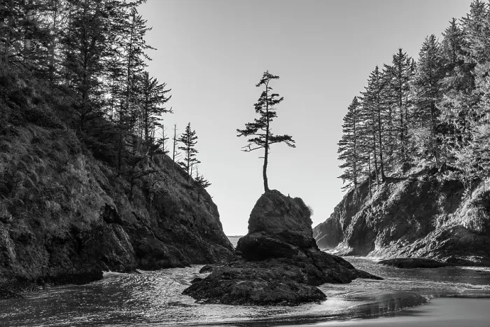 Framed Print : Deadman's Cove at Cape Disappointment State Park in Washington State, USA Framed Print : Deadman's Cove at Cape Disappointment State Park in Washington State, USA