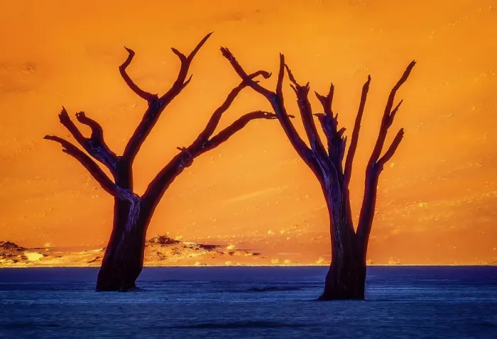 Framed Print : Deadvlei, Namibia, Africa. Portrait of two 700 year old skeletons of dead Camel Thorn trees near Sossusvlei at sunrise Framed Print : Deadvlei, Namibia, Africa. Portrait of two 700 year old skeletons of dead Camel Thorn trees near Sossusvlei at sunrise