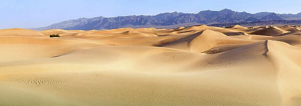 Death Valley. Landscape of Mesquite Flats Sand Dunes