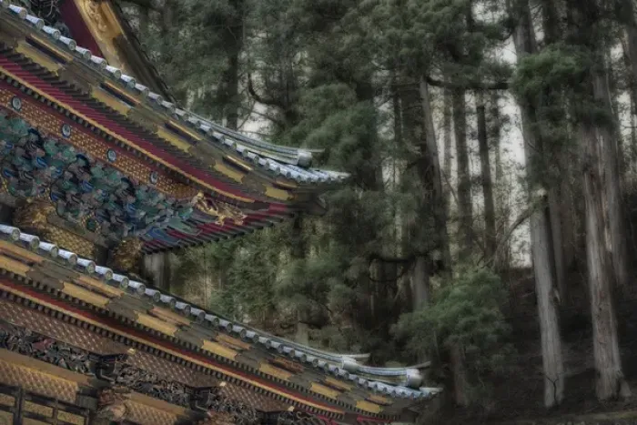 Framed Print : Decorative Japanese Temple roof against background of trees Framed Print : Decorative Japanese Temple roof against background of trees