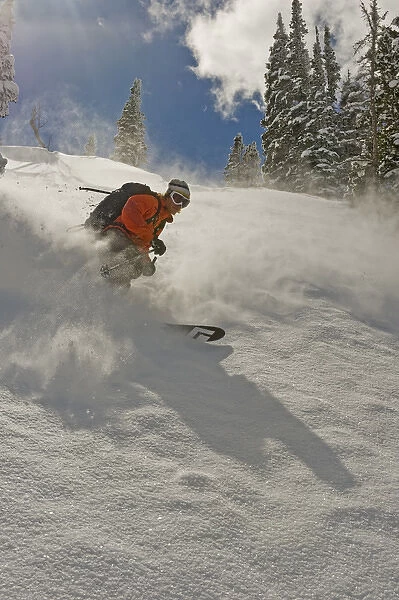 Deep powder in the Wasatch Backcountry, Wasatch Mountains, near Salt Lake City, Utah