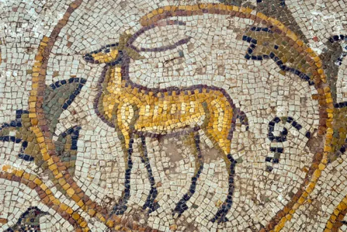 Framed Print : Deer mosaic, New House Of Hunt, Bulla Regia Archaeological Site, Tunisia, North Africa