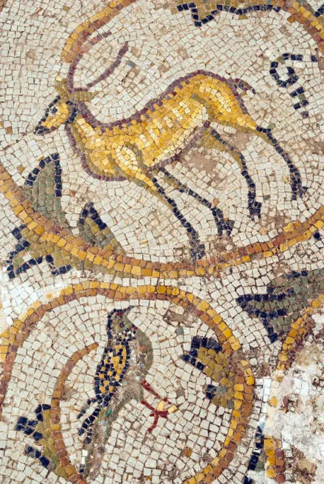 Framed Print : Deer mosaic, New House Of Hunt, Bulla Regia Archaeological Site, Tunisia, North Africa