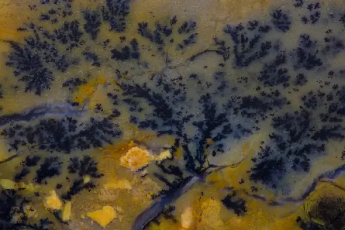 Framed Print : Dendritic Jasper
