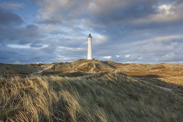 Denmark, Jutland, Danish Riviera, Hvide Sande, Lyngvig Fyr Lighthouse, dusk