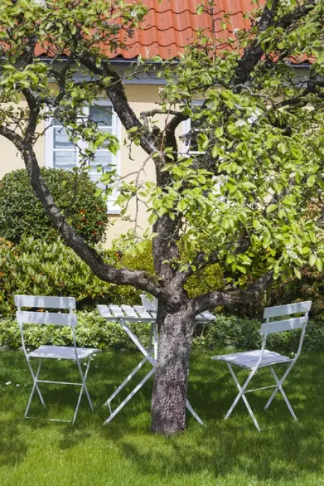 Framed Print : Denmark, Jutland, Skagen, garden chairs