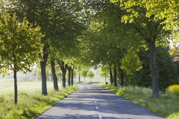Framed Print : Denmark, Mon, Magleby, country road Framed Print : Denmark, Mon, Magleby, country road