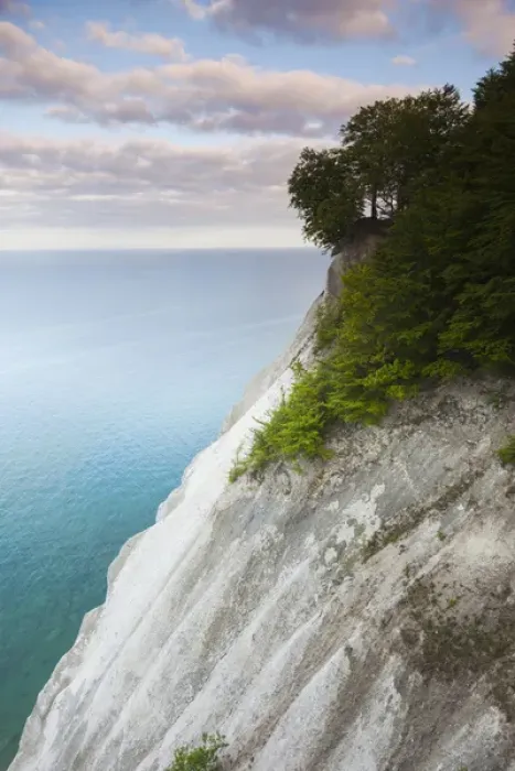 Framed Print : Denmark, Mon, Mons Klimt, 130 meter-highchalk cliffs from above Framed Print : Denmark, Mon, Mons Klimt, 130 meter-highchalk cliffs from above