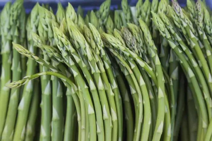Framed Print : Denmark, Zealand, Copenhagen, Torvehallerne KPH, new outdoor food market, asparagus Framed Print : Denmark, Zealand, Copenhagen, Torvehallerne KPH, new outdoor food market, asparagus