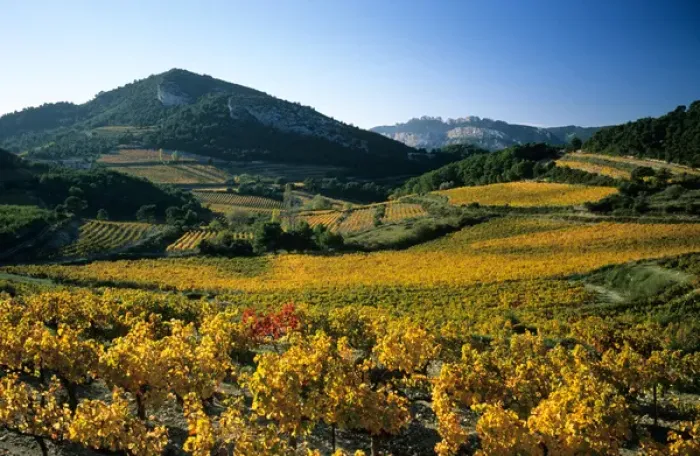 Framed Print : Dentelles de Montmirail; Cote-du-Rhone vineyards; Vaucluse; Provence; France Framed Print : Dentelles de Montmirail; Cote-du-Rhone vineyards; Vaucluse; Provence; France