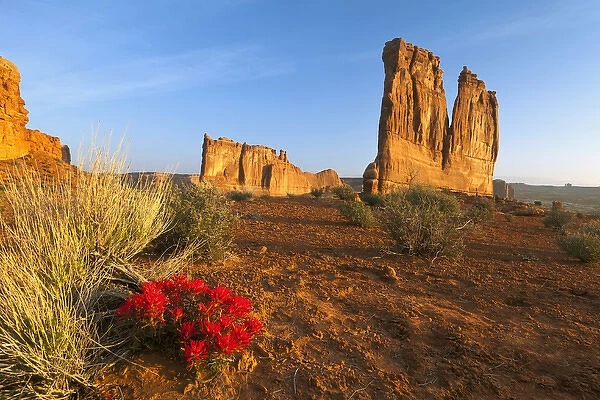 Desert paintbrush livens up the landscape near Courthouse Towers in Arches National Park