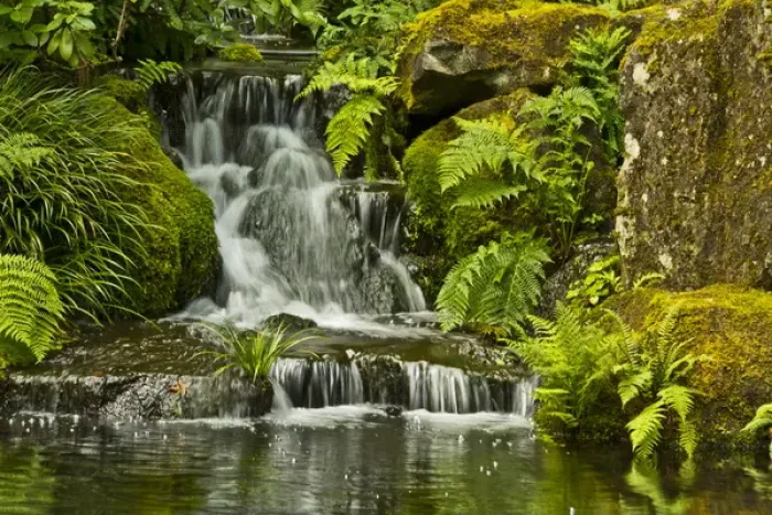 Framed Print : Detail, Heavenly Falls, Lower Pond, Strolling Garden, Portland Japanese Garden, Portland Framed Print : Detail, Heavenly Falls, Lower Pond, Strolling Garden, Portland Japanese Garden, Portland