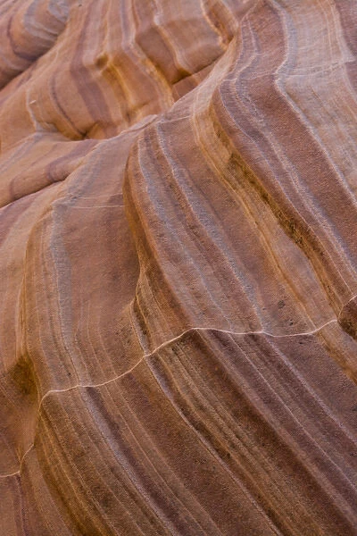 Detail; Pink Canyon; Valley of Fire State Park; Nevada; USA