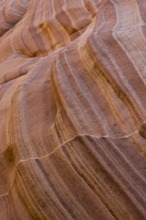 Framed Print : Detail; Pink Canyon; Valley of Fire State Park; Nevada; USA Framed Print : Detail; Pink Canyon; Valley of Fire State Park; Nevada; USA