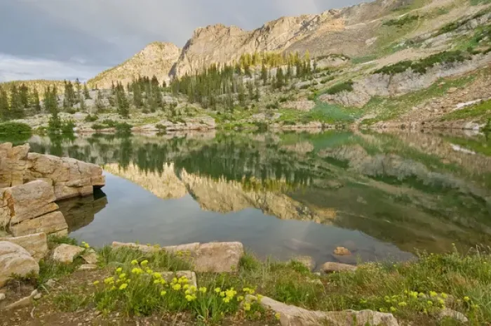 Framed Print : Devils castle reflected in Cecret Lake, evening, yellow wildflowers, Little Cottonwood Canyon Framed Print : Devils castle reflected in Cecret Lake, evening, yellow wildflowers, Little Cottonwood Canyon