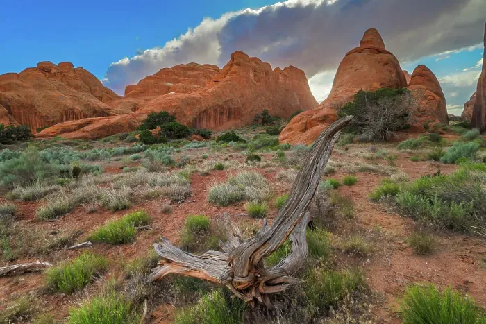 Framed Print : Devil's Garden Trail, Arches National Park, Utah, US Framed Print : Devil's Garden Trail, Arches National Park, Utah, US
