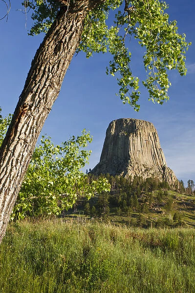 Devils Tower, Devils Tower National Monument, Wyoming
