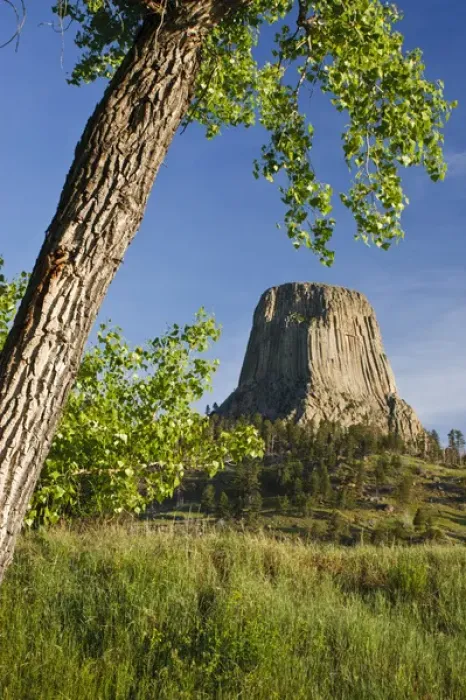 Framed Print : Devils Tower, Devils Tower National Monument, Wyoming
