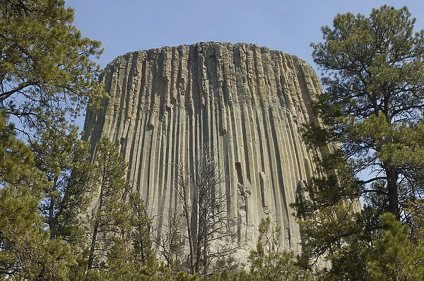 Devils Tower National Monument East Wyoming. USA Devils Tower rises 1267 feet