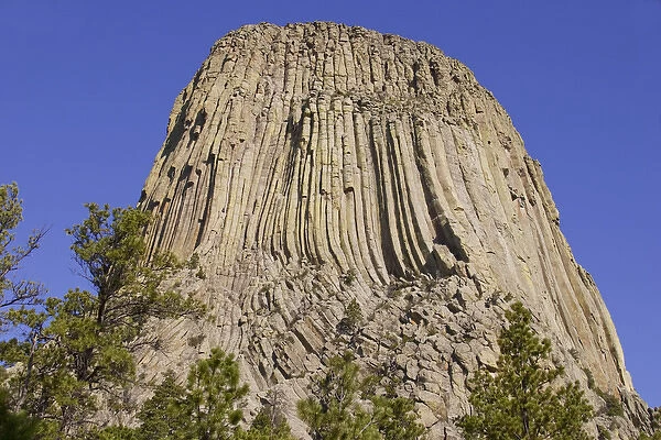 Devils Tower National Monument, Wyoming, North America, USA. South Side of Devils Tower
