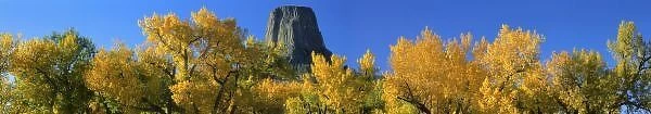 DEVILS TOWER NATIONAL MONUMENT, WYOMING, Devils Tower rises above cottonwood trees
