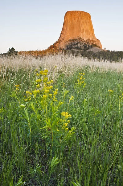 Devils Tower National Monument, Wyoming at sunset, spring