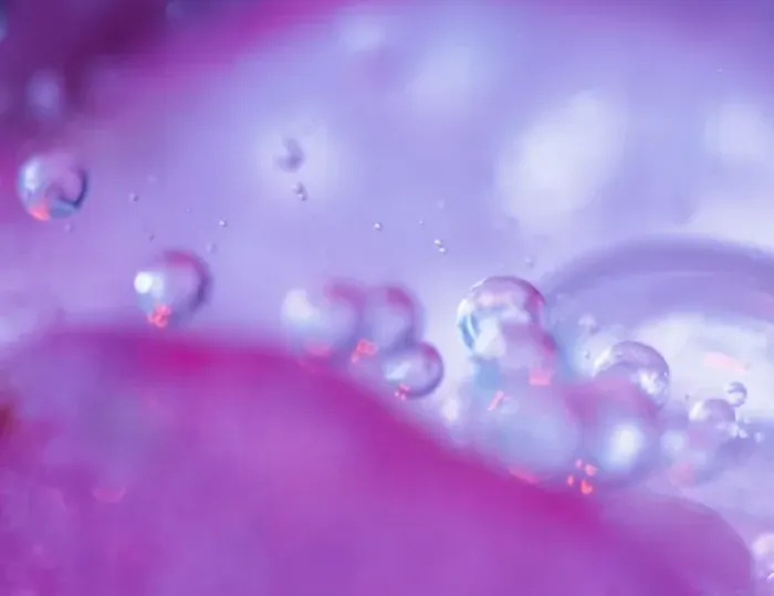 Framed Print : Dew drops on flower petal abstract. Credit as: Nancy Rotenberg  /  Jaynes Gallery  /  DanitaDelimont