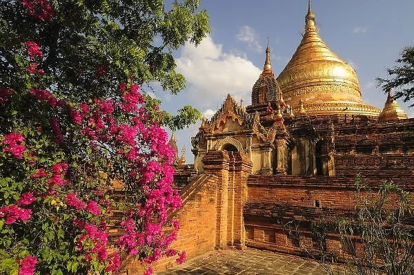 Dhamma Yazaka Pagoda at Bagan (Pagan), Myanmar (Burma)