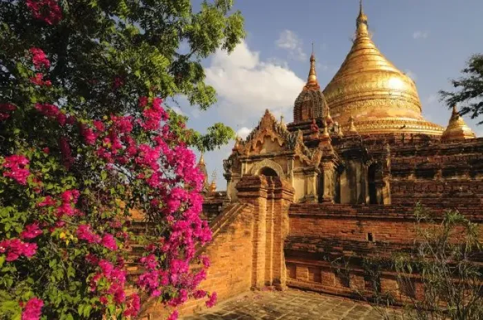 Framed Print : Dhamma Yazaka Pagoda at Bagan (Pagan), Myanmar (Burma)