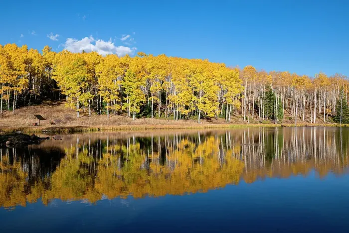 Framed Print : Diamond Pond reflects a stand of aspens, in Colorado, Walden, USA Framed Print : Diamond Pond reflects a stand of aspens, in Colorado, Walden, USA
