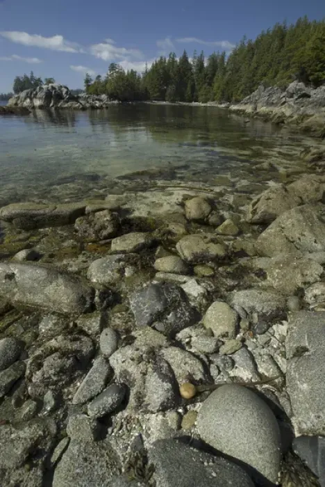 Framed Print : Dicebox Island, Broken Island Group, Pacific Rim National Park Preserve, British Columbia