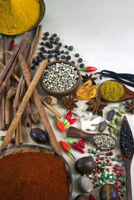 Framed Print : Different types of spices