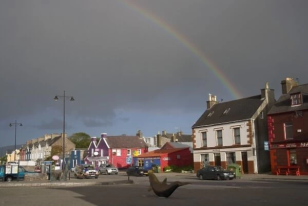 Dingle, Dingle Peninsula, Ireland, Houses, Rainbow
