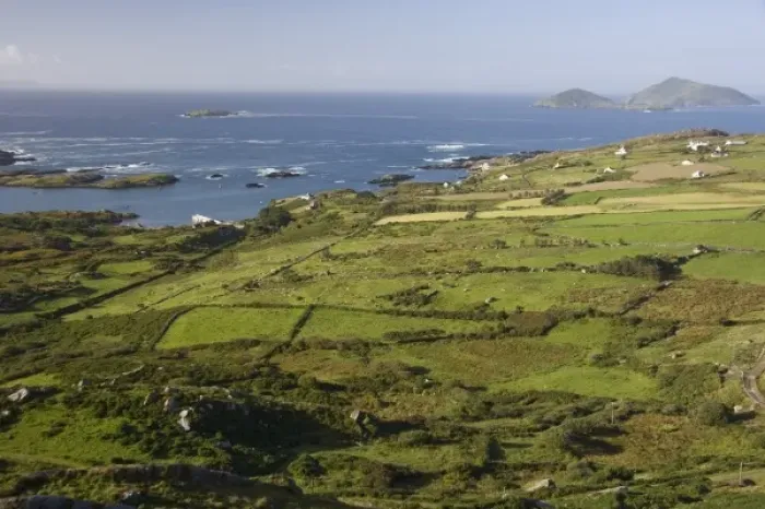 Framed Print : Dingle Peninsula, Landscape, Ireland, Ocean, Fields, Farms
