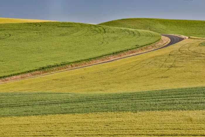 Framed Print : Dirt road evening light on rolling hills and wheat fields near Colfax, Eastern Washington Framed Print : Dirt road evening light on rolling hills and wheat fields near Colfax, Eastern Washington