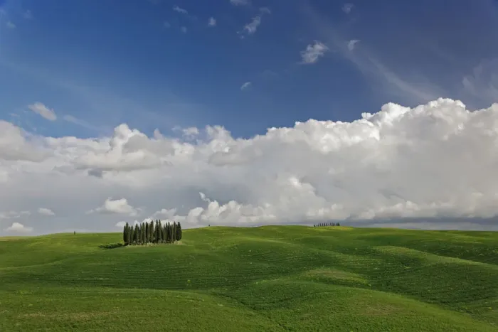 Framed Print : Distinctive cypress trees in Tuscany region of Italy