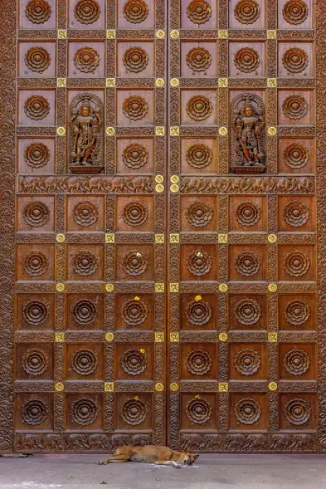 Framed Print : Dog and door at Temple in Sai Baba ashram, India
