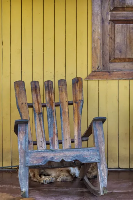 Framed Print : A dog sleeps under a weathered Adirondack rocking chair in Vinales, Cuba
