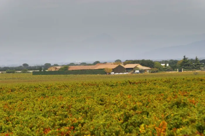 Framed Print : The Domaine de Beaucastel and vineyards. Chateau de Beaucastel, Domaines Perrin
